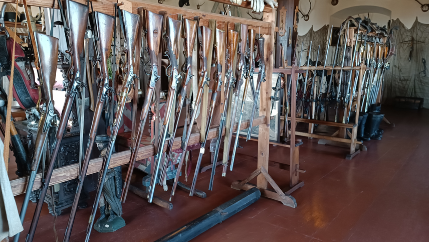 Tour of the Opočno armoury with extended interpretation