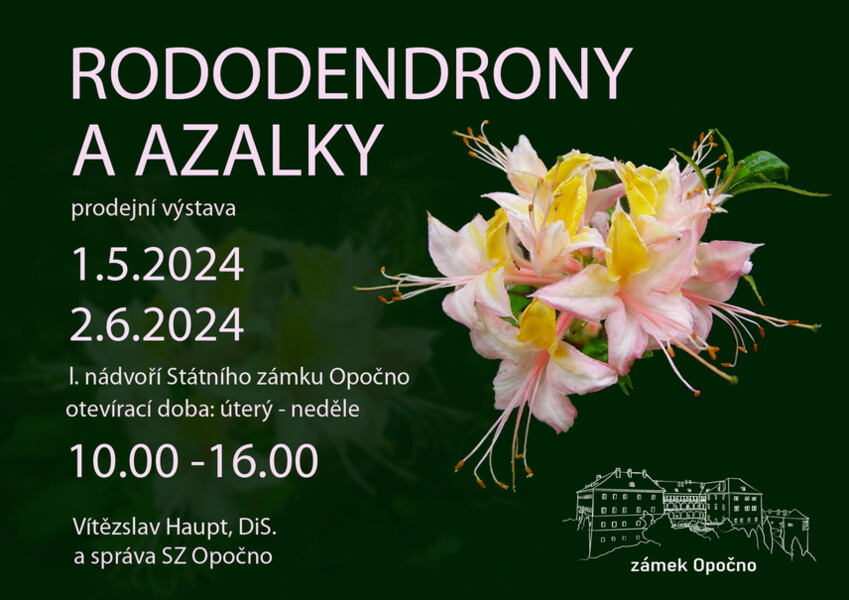 Poster - Rododendrony a azalky